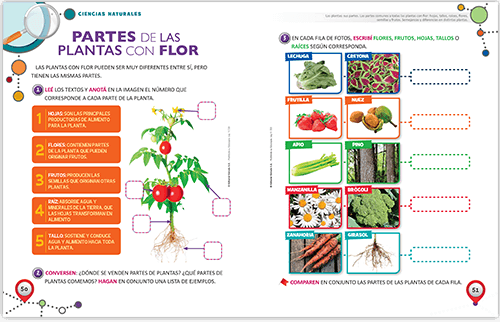 muestra