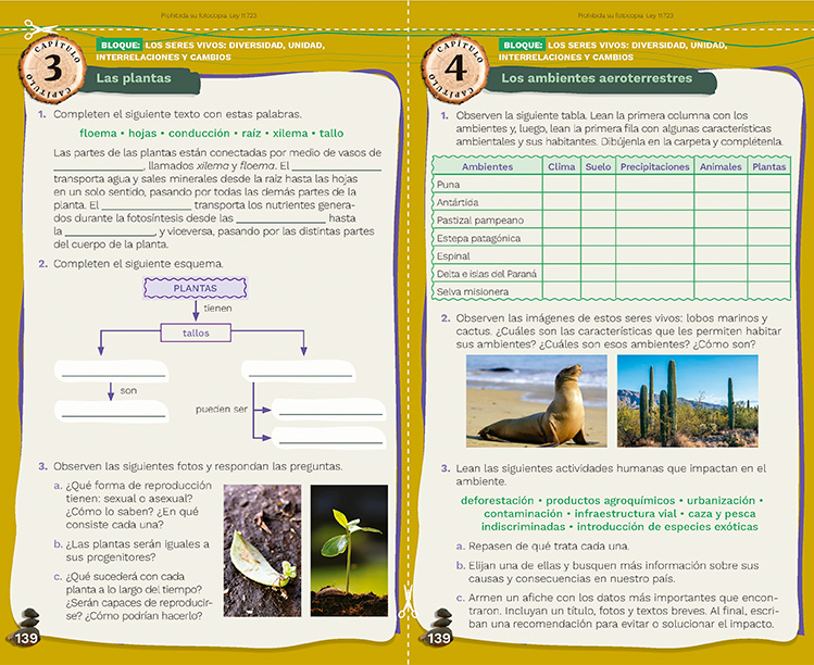 muestra