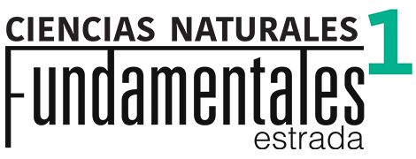 logo Fundamentales