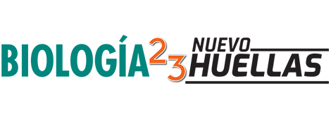 logo Nuevo Huellas