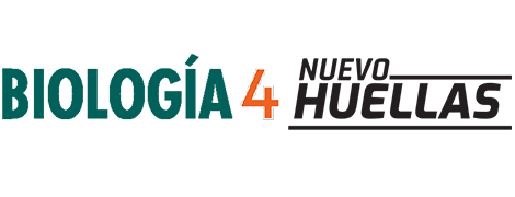 logo Nuevo Huellas